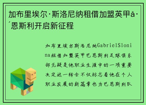 加布里埃尔·斯洛尼纳租借加盟英甲巴恩斯利开启新征程 加布里埃尔·斯洛尼纳租借加盟英甲巴恩斯利开启新征程